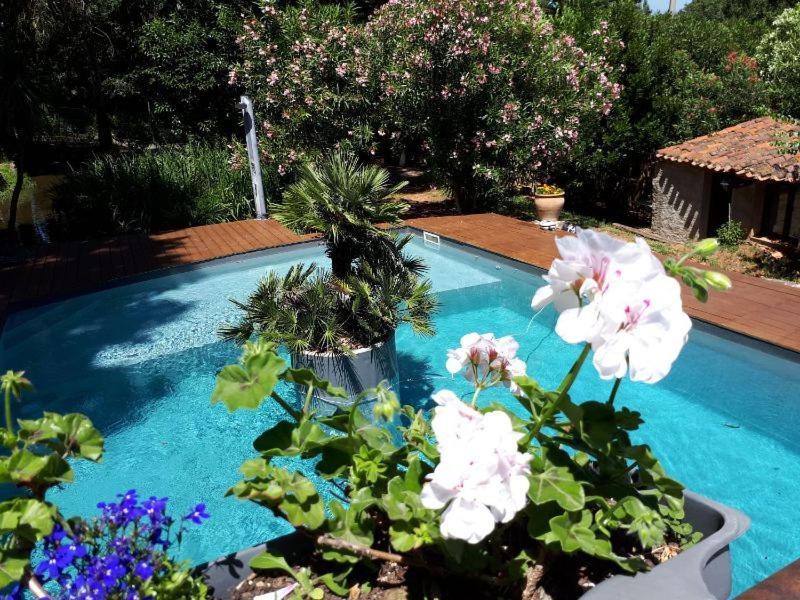 Casa9 Hotel Тюир Экстерьер фото